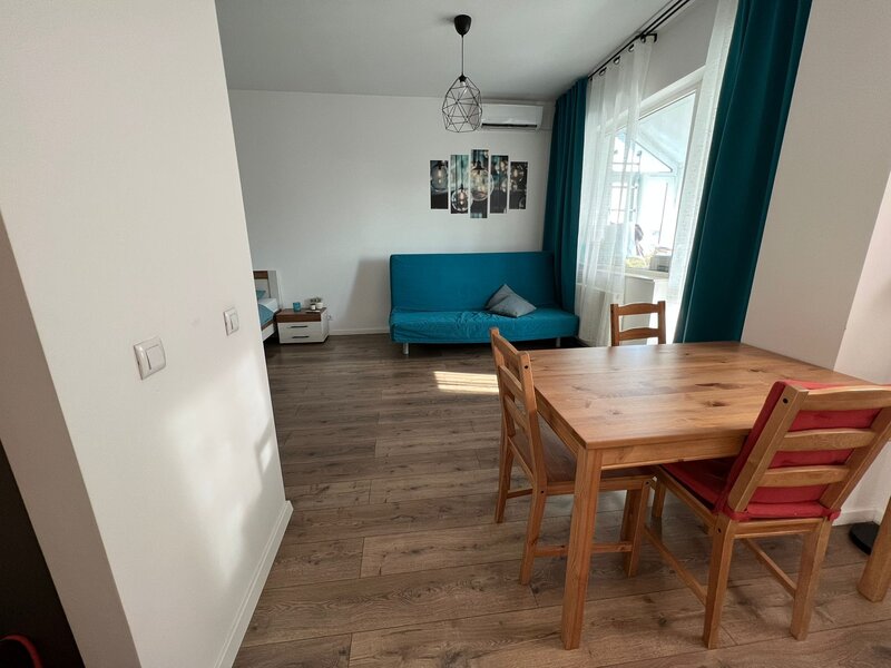 Cartier Brancusi ANL Coloana infinitului