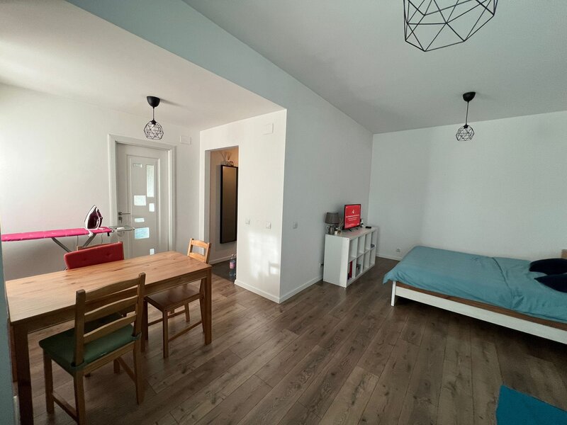 Cartier Brancusi ANL Coloana infinitului