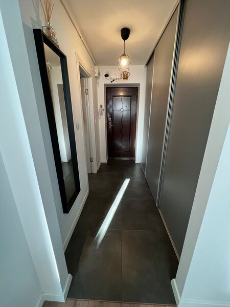 Cartier Brancusi ANL Coloana infinitului