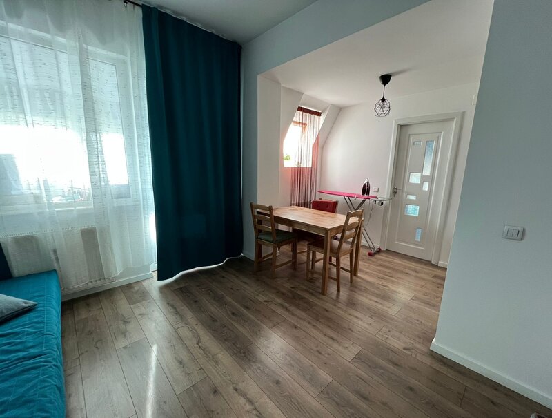 Cartier Brancusi ANL Coloana infinitului