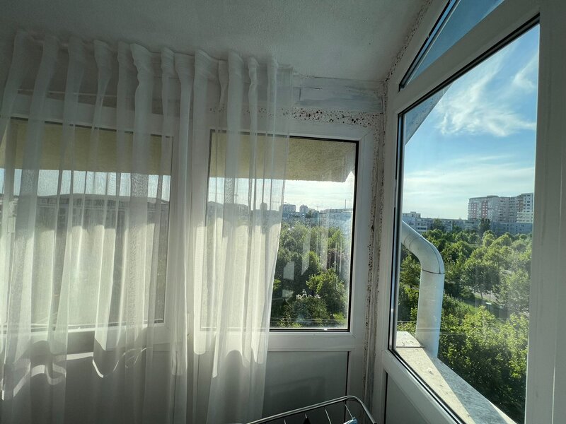 Cartier Brancusi ANL Coloana infinitului